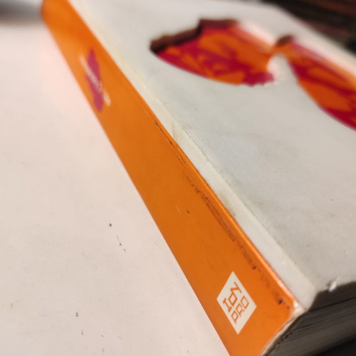 Iconography 2: Life used design book