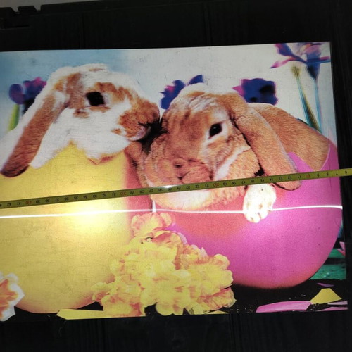 3D Picture With Bunnies In Eggs, Like New, 39x29 cm