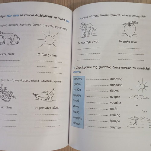 Grammar A and B Primary School textbook new