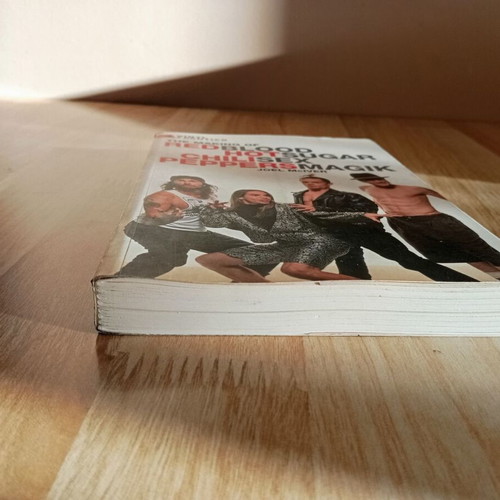 Red Hot Chili Peppers The Making of Blood Sugar Sex Magic book like new, English