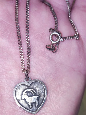 Heart Pendant Capricorn Zodiac Silver 925 like new with Chain