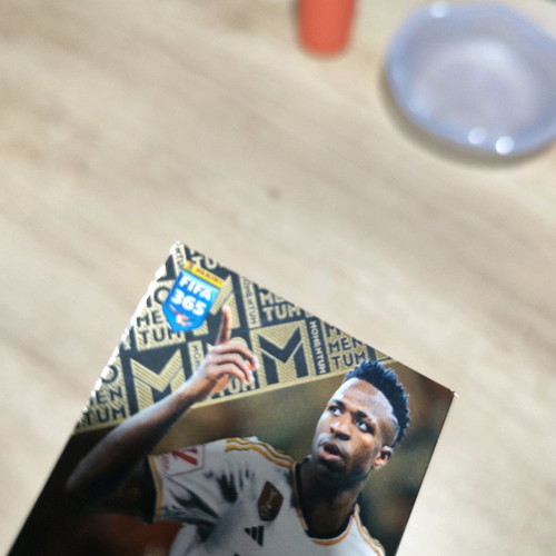 Momentum Vinicius Panini Adrenalyn XL 2024 used