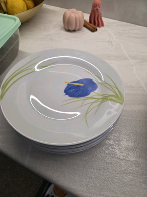 Dishes set of 3 sizes like new