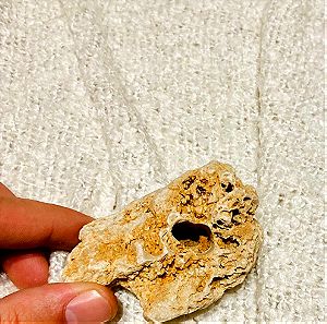 Κωραλιογενες απολίθωμα/ coral fossil