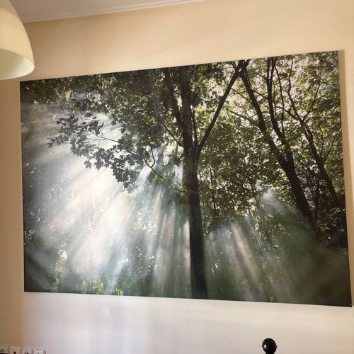IKEA Wall Panel - Decorative Wall | BJÖRKSTA | 140 x 200 cm | “Morning in the Forest”