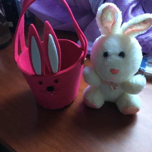Easter basket and plush bunny new