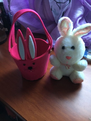 Καλάθι πασχαλινό και λούτρινος λαγός καινούργια