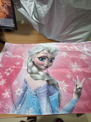 Elsa Frozen duvet cover and pillowcase set new