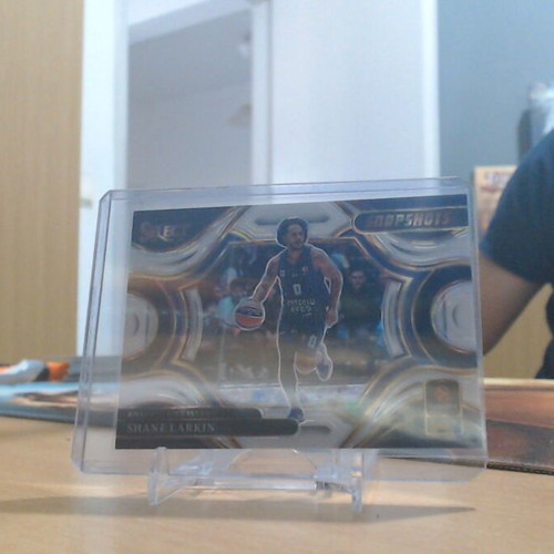 Panini Select EuroLeague Shane Larkin Snapshots Card near mint