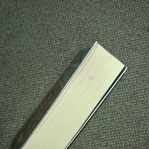 Platonas, Ochi Prozac! used book by Lou Marinoff
