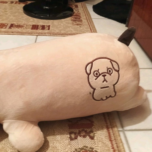 Plush Bear New