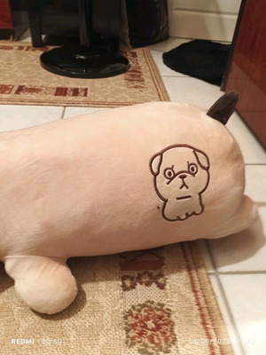 Plush Bear New