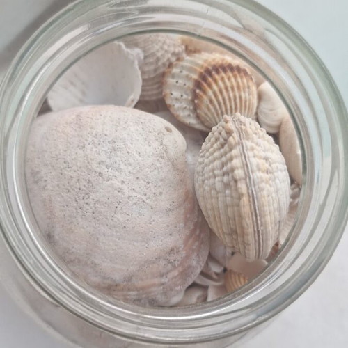Sea treasures in a jar with natural shells, used