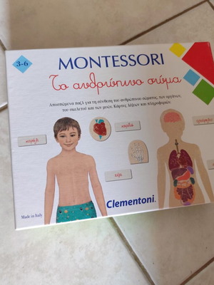 Montessori Το ανθρώπινο σώμα εκπαιδευτικό παιχνίδι πλήρες