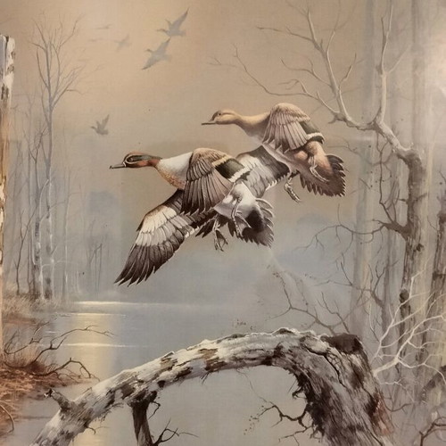 Frame with wild duck poster like new, 50x40 with glass
