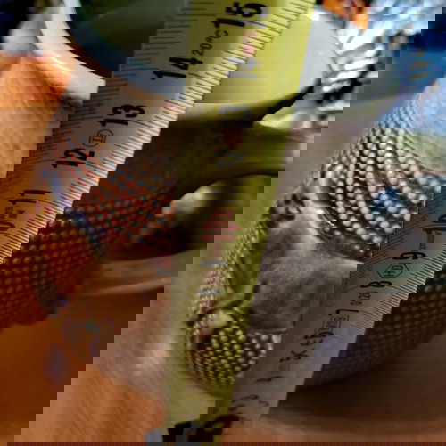 Marzi & Remy Westerwald млечник керамика като ново