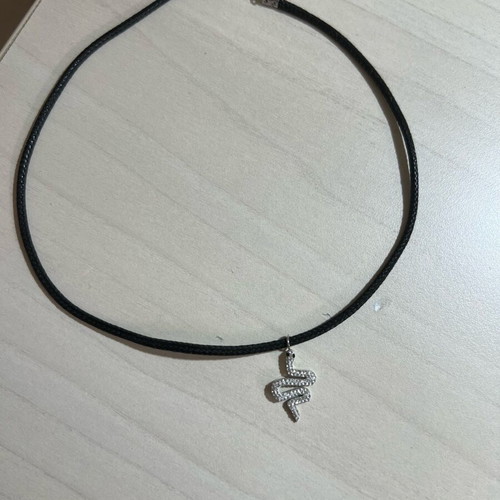 Choker with snake charm black stainless steel like new