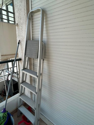 Metal ladder