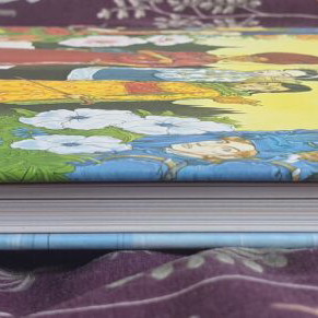 The Tales of Beedle the Bard illustrated hardcover like new, English