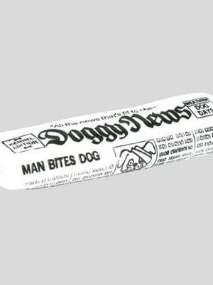 Trixie Newspaper Toy 18cm new PVC with sound