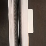 Nelson Basic Pediatrics Volume A used