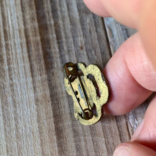 Scout badge used