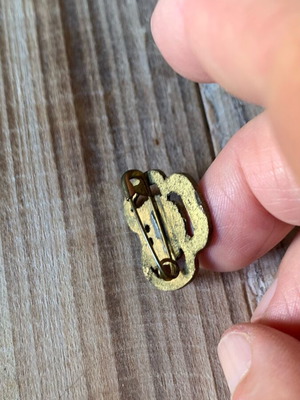 Scout badge used