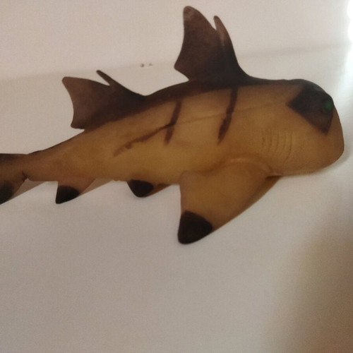 Fish toy like new, elastic