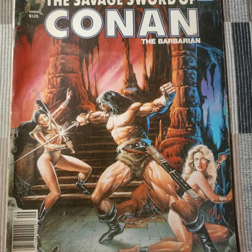 Conan The Savage Sword of Conan #68 comic book used