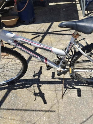 Clermont adult bicycle used, white, women's, with gears
