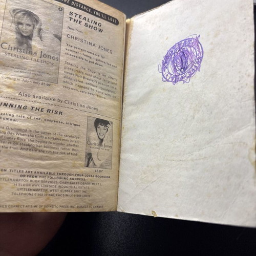 Going the Distance Christina Jones used English book