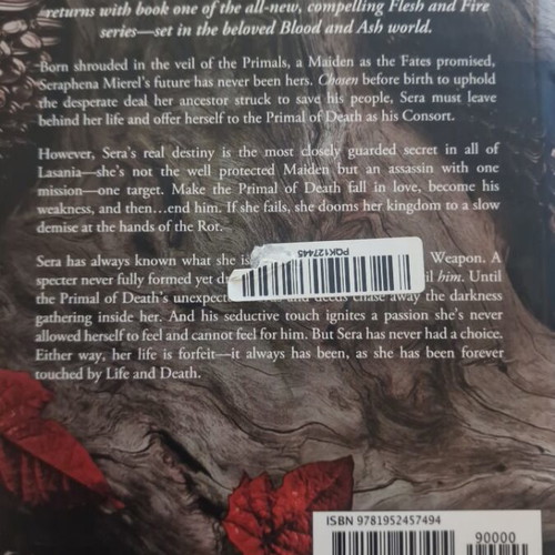 A Light in the Flame by Jennifer L. Armentrout