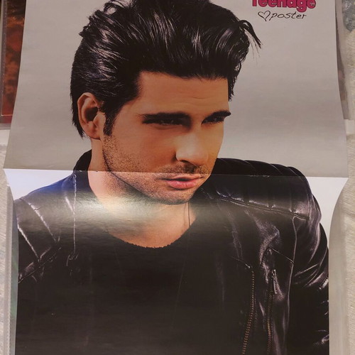 Tyler Posey & Ginno poster like new, size 41x28