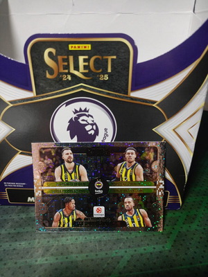 Team Quads Fener Euroleague card like new