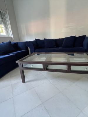 Living room set with handmade sofa and solid wood glass table like new