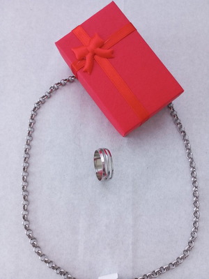 Stainless Steel Necklace and Ring Set new, minimal design