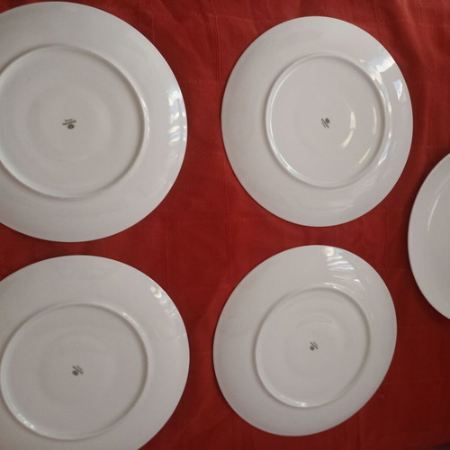 Bauscher Weiden Germany 32 cm plate set of 6