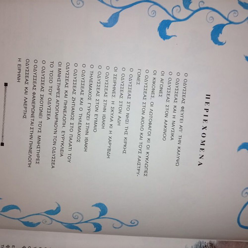 Homer's Odyssey hardcover like new, Greek language