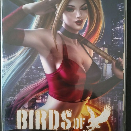 Birds Of Prey #1 Variant cover new