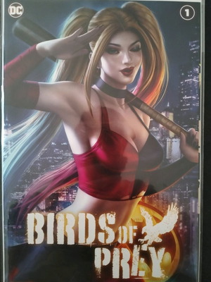 Birds Of Prey #1 Variant cover new