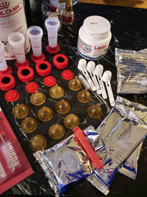 Κιτ για νεογέννητα γατάκια σαν καινούργιο