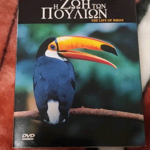The Life of Birds BBC Documentary 4 DVD set like new