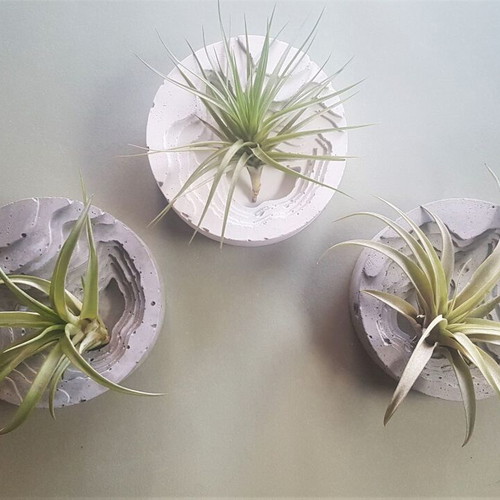 Handmade white concrete decorative piece, minimal decor base for air plants