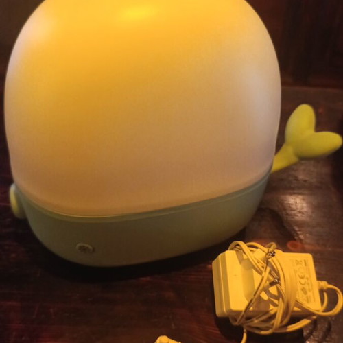 Aromatherapy Humidifier with LED Night Light, like new