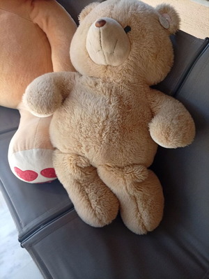Large teddy bear and small teddy bear set
