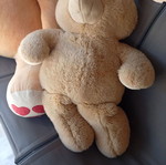 Large teddy bear and small teddy bear set