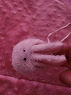 Baby shoes used, bunny design