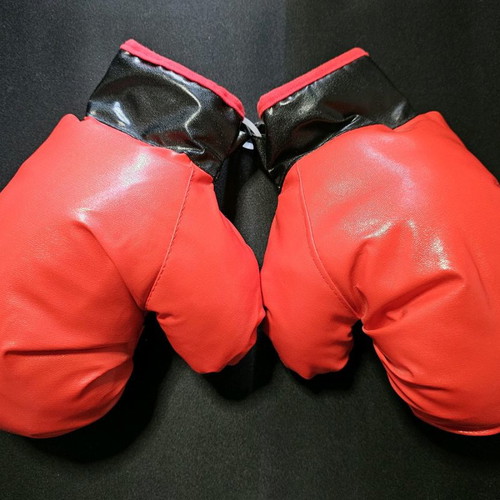 Children's boxing gloves new