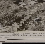  Καρτ ποστάλ "ΑΝΔΡΙΤΣΑΙΝΑ. Β. ΑΠΟΨΗ ΝΑΟΥ ΤΟΥ ΕΠΙΚΟΥΡΙΟΥ ΑΠΟΛΛΩΝΟΣ", ασπρόμαυρο.