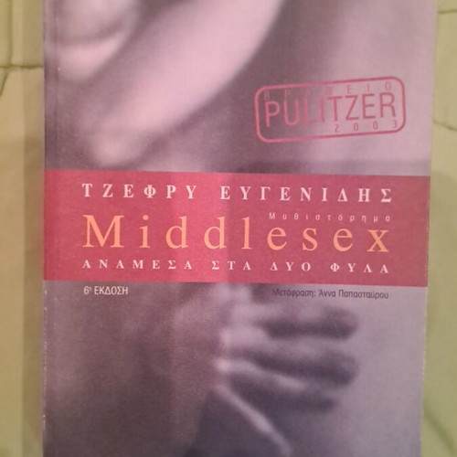 Middlesex book literary like new